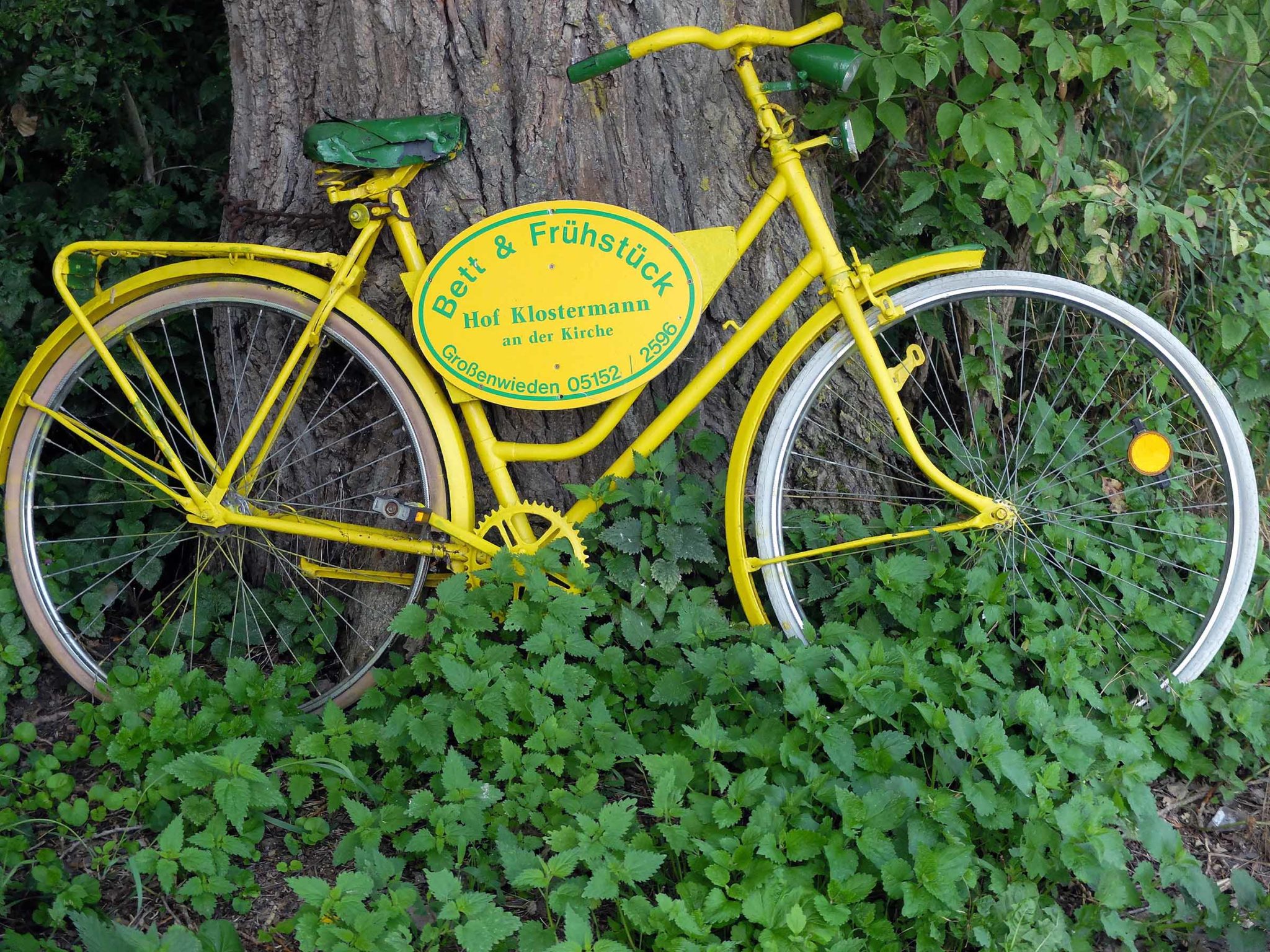 fahrrad weg von hameln nach bodenwerder